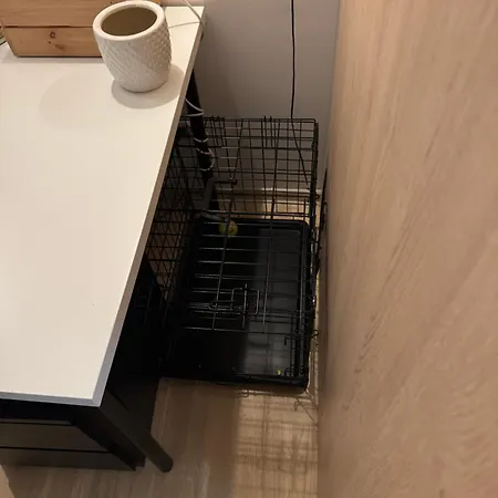 Appartement Cozy Ozo Park Apartment, Pet Friendly With Workspace